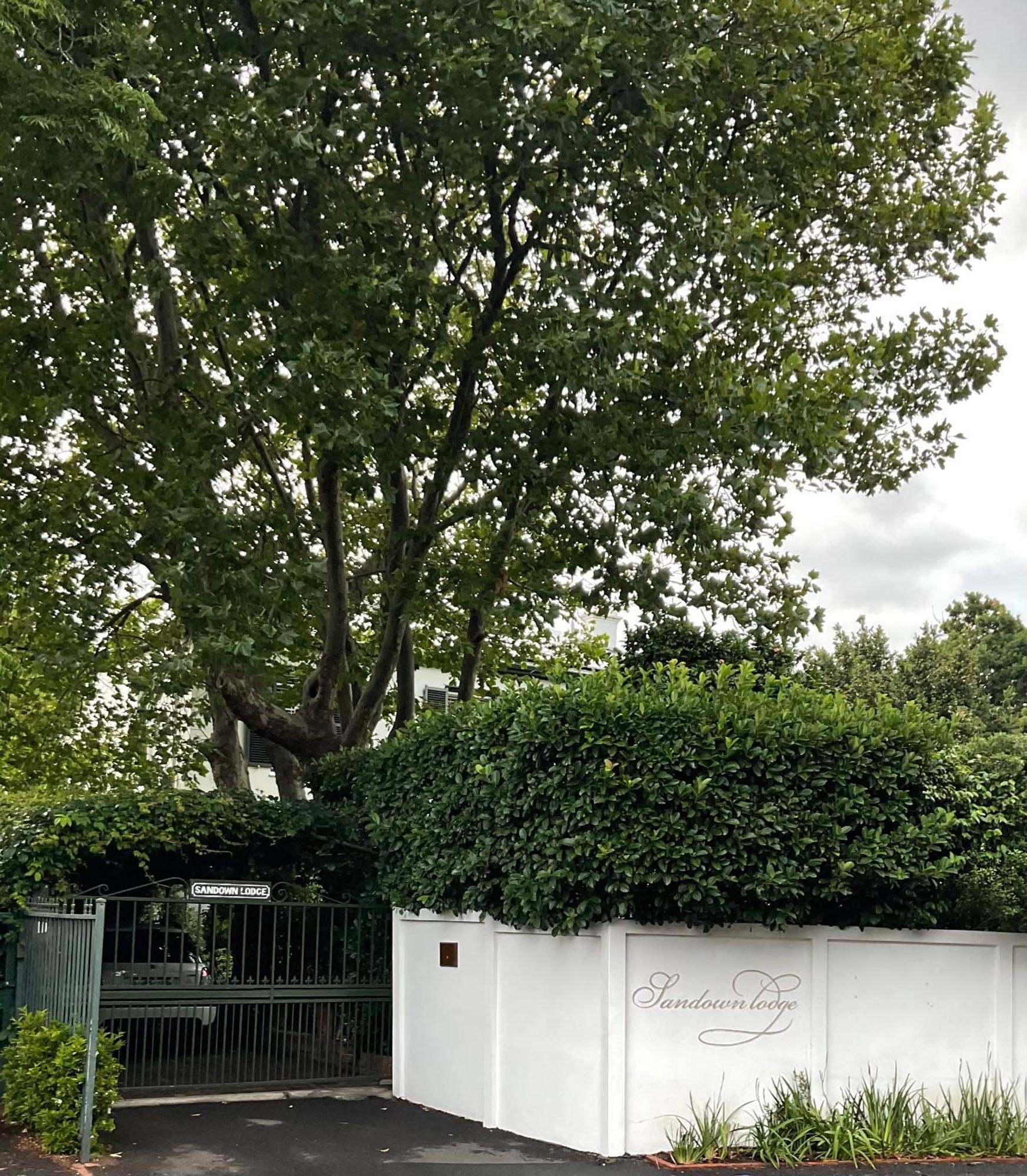 קייפטאון Sandown Lodge מראה חיצוני תמונה